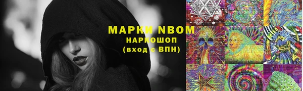 круглые Аркадак