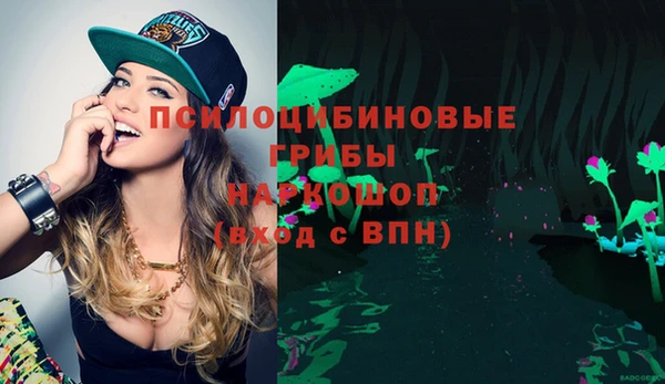 круглые Аркадак