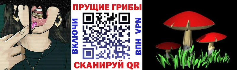 дарнет шоп Талдом Галлюциногенные грибы MAGIC MUSHROOMS