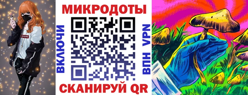 Псилоцибиновые грибы Psilocybine cubensis Талдом
